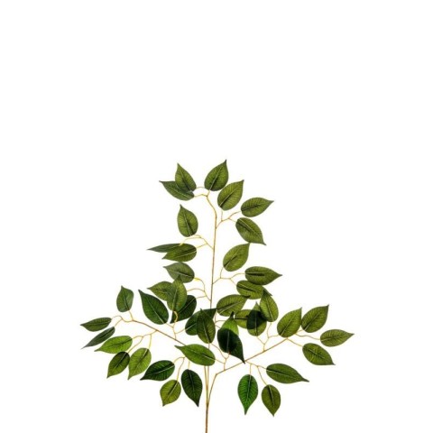 FOGLIA FICUS X42 H56